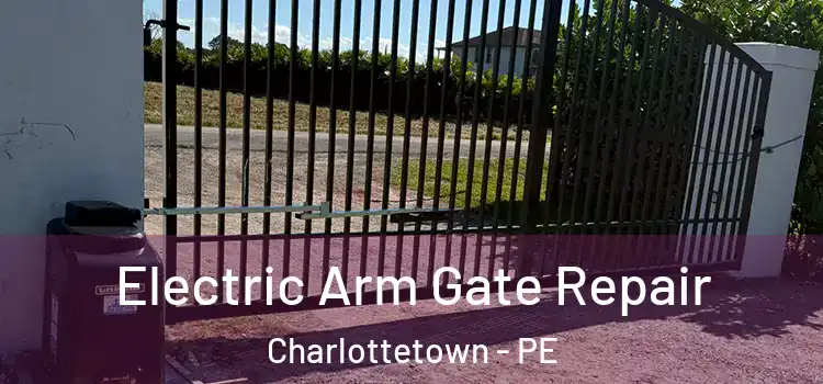  Electric Arm Gate Repair Charlottetown - PE