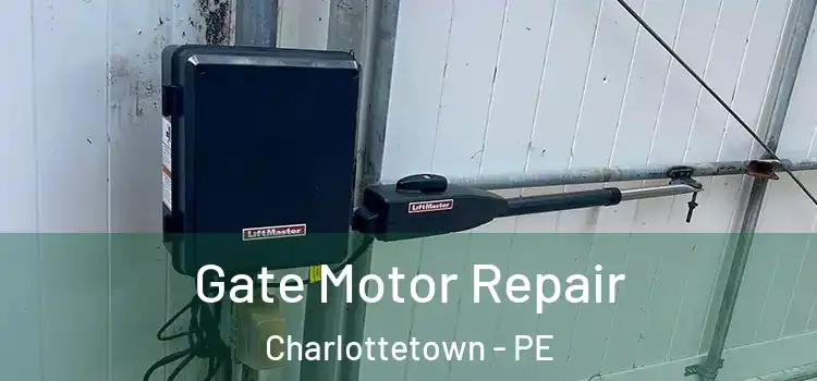  Gate Motor Repair Charlottetown - PE