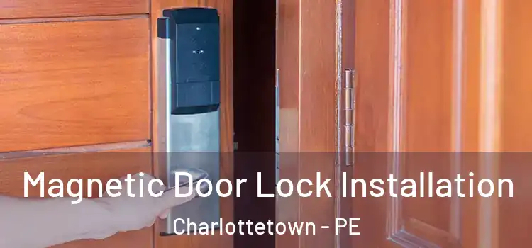  Magnetic Door Lock Installation Charlottetown - PE